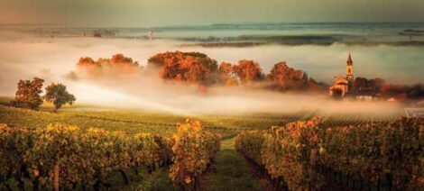 A Taste of Place Image